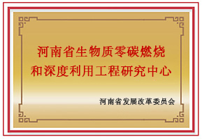 河南省生物質零碳燃燒工程研究中心